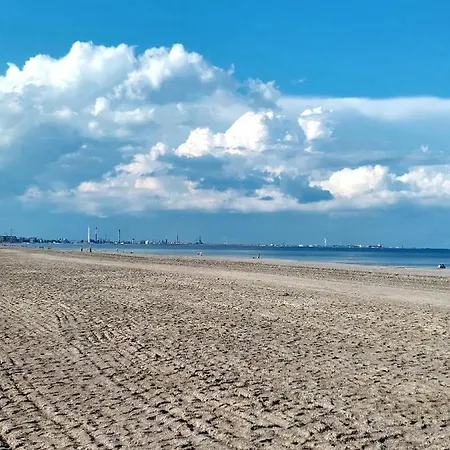 Summerland Infinite View * Mamaia